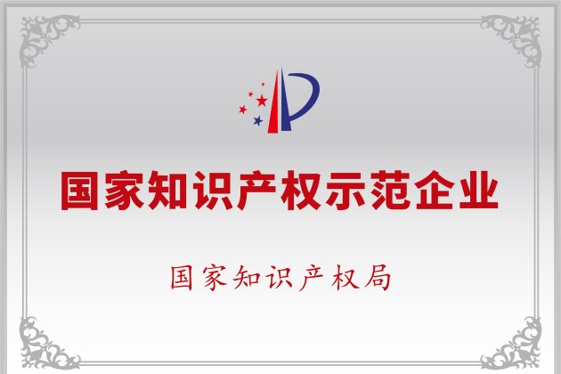 國家知識產(chǎn)權(quán)示范企業(yè)